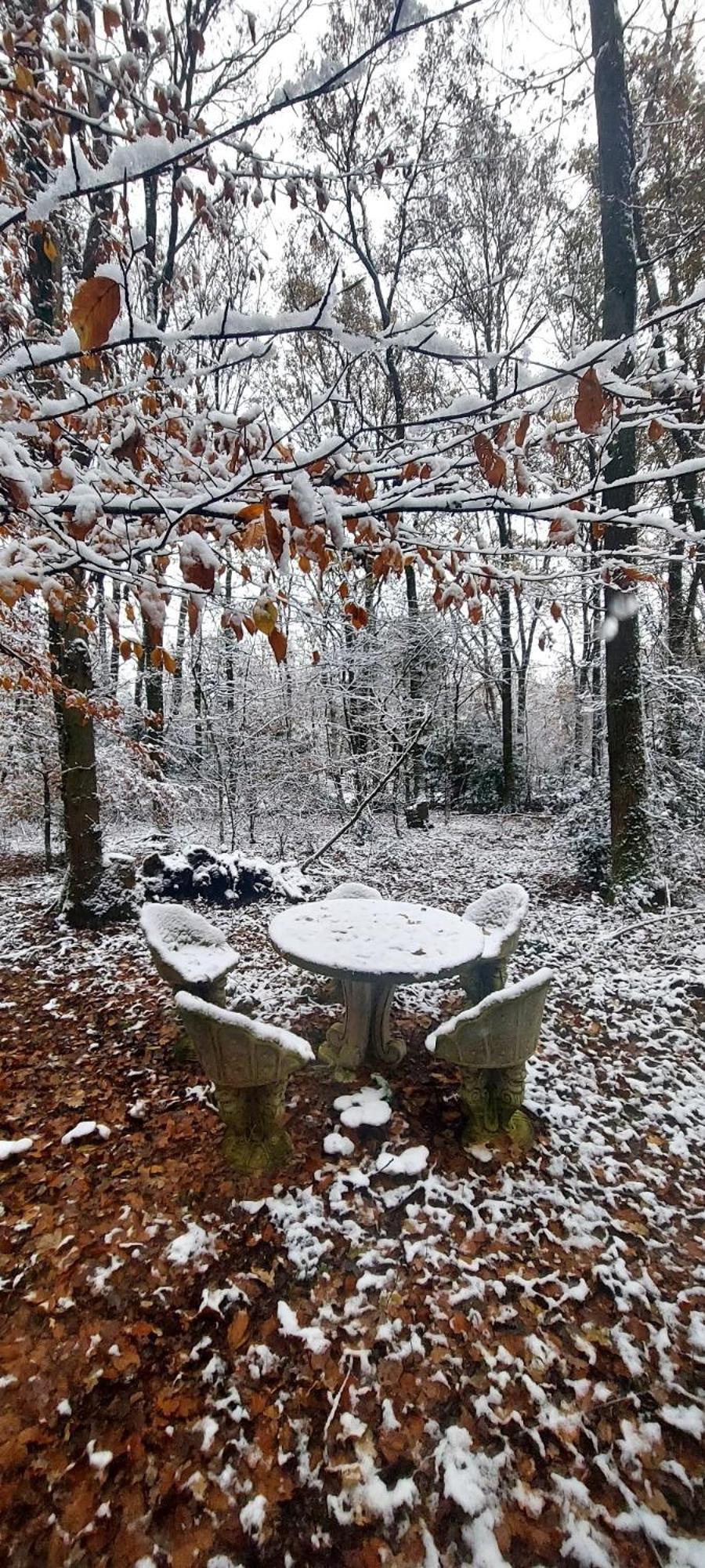 'T Boshuisje Opglabbeek Экстерьер фото